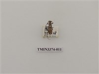 藏品(五星白天牛)的圖片